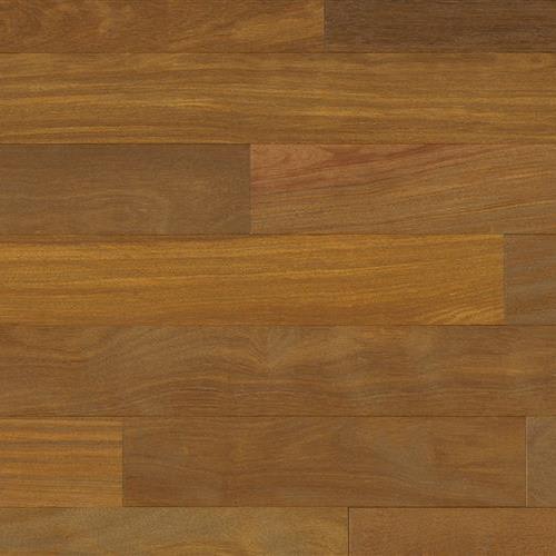 Brazilian Chestnut (Sucupira) in Natural