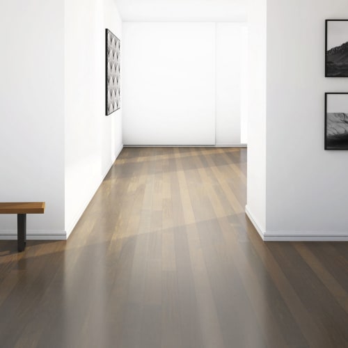 Brazilian Chestnut (Sucupira) in Whiskey Barrel