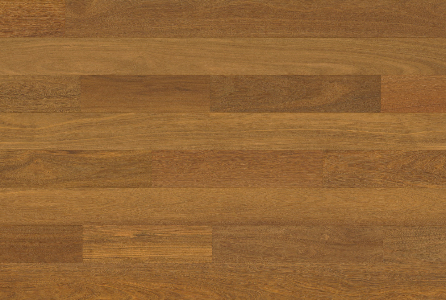 Brazilian Chestnut (Sucupira) Autumn Largo