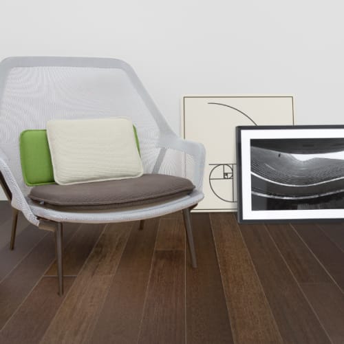 Brazilian Oak (Tauari) in Java