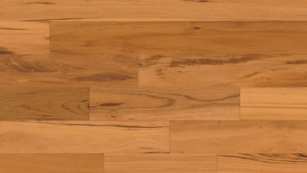 Novo Tigerwood Natural Floor Sample