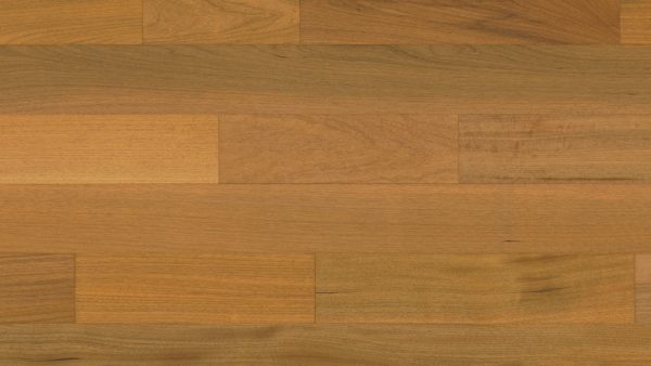 Novo Brazilian Oak Natural Floor Sample